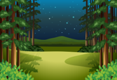 Piiroskuva öisestä metsästä